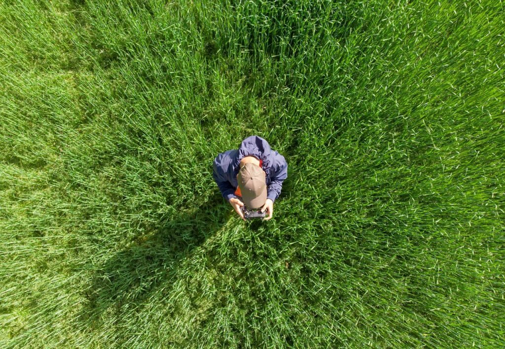 drone operator, drone pilot, field, aerial view, quadrocopter, technology, drone operator, drone operator, drone pilot, drone pilot, drone pilot, drone pilot, drone pilot