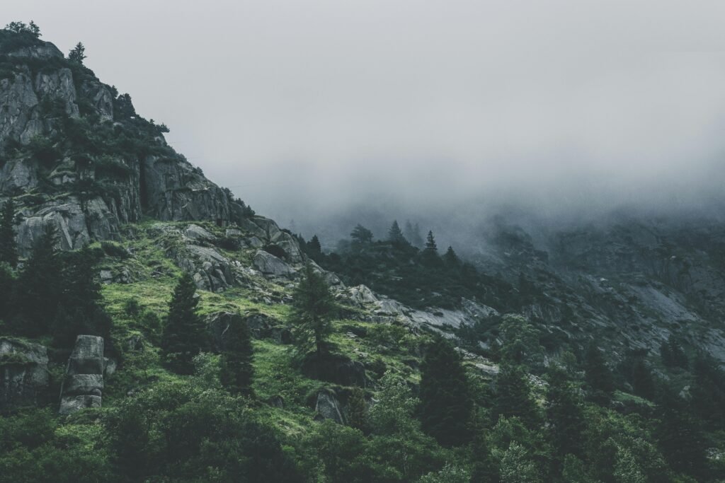 Scenic view of a fog-covered mountain with lush pine trees and rocky terrain.